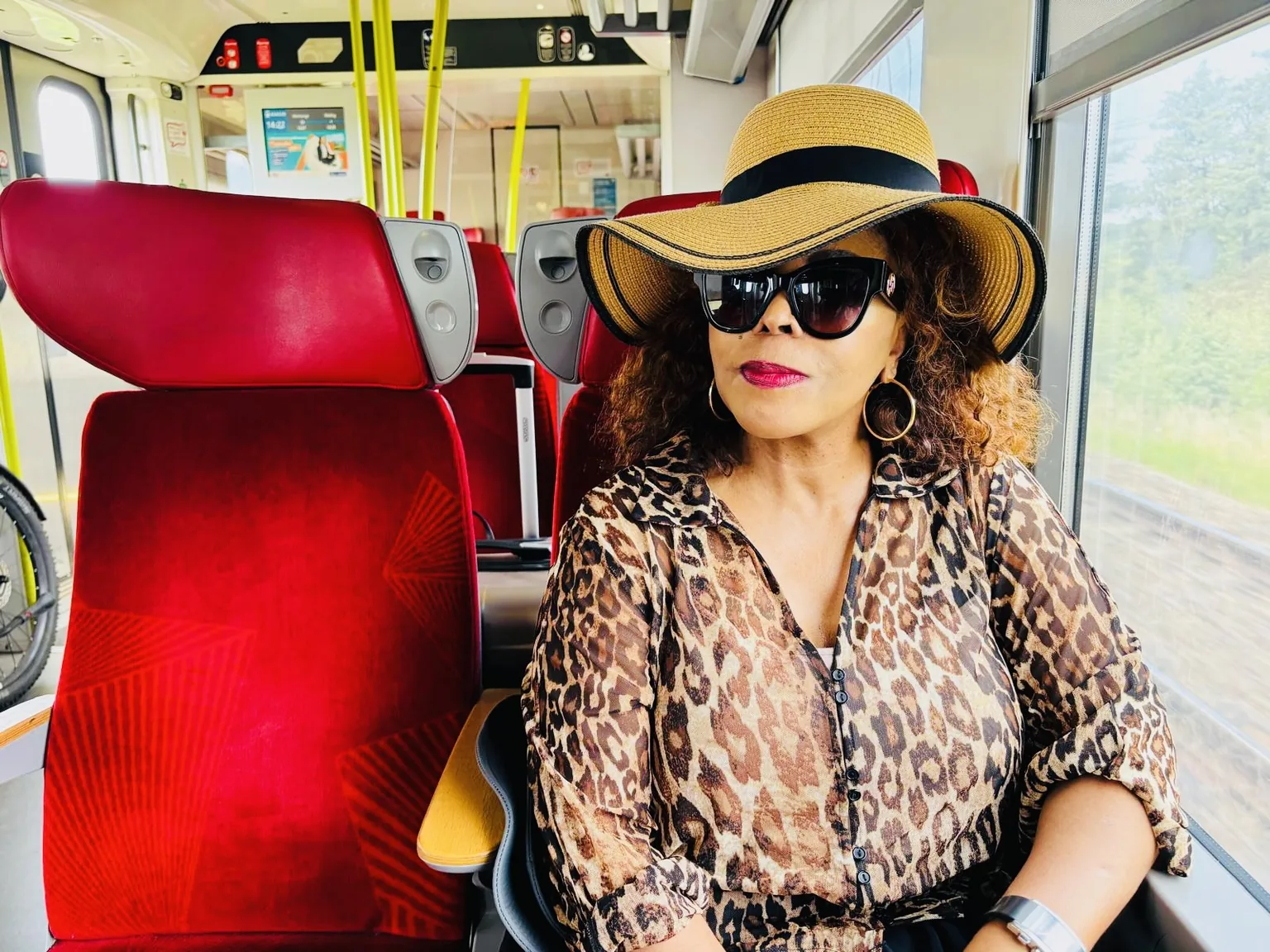 Dr. Alina seated on the train to Colmar, France